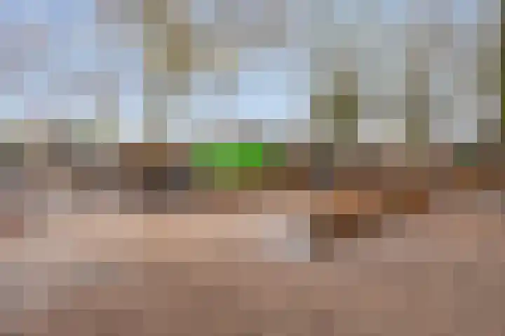 De Dommel 72 Goirle thumbnail 29