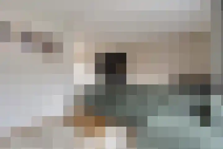 De Dommel 72 Goirle thumbnail 4