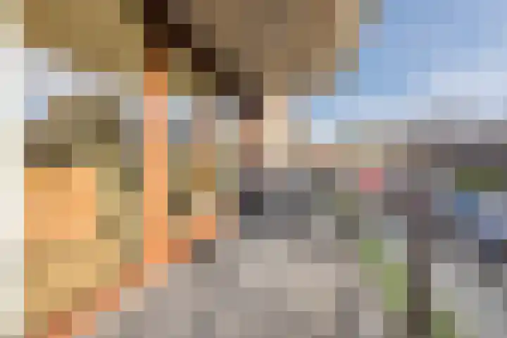 De Dommel 81 Naaldwijk thumbnail 10