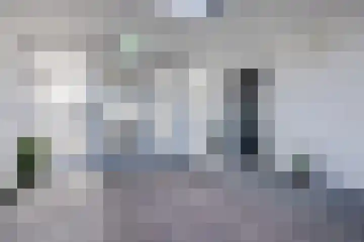 De Dommel 81 Naaldwijk thumbnail 22