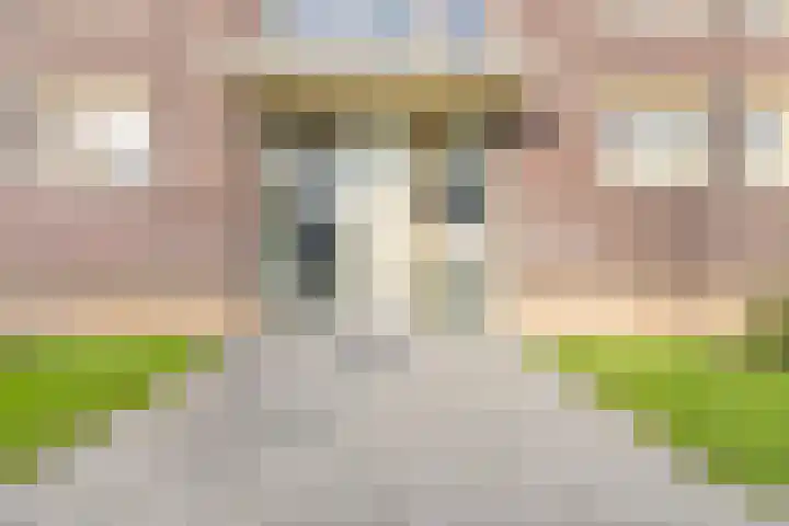 De Dommel 81 Naaldwijk thumbnail 25