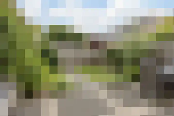 De Dommel 90 Goirle thumbnail 26