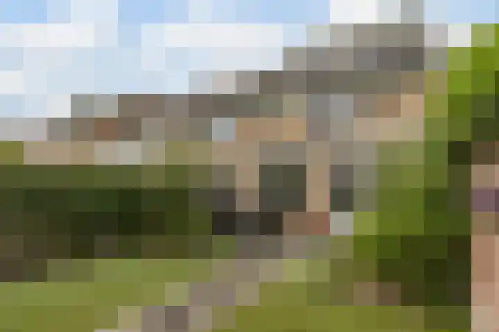 De Dommel 90 Goirle thumbnail 27