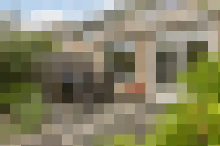 De Dommel 90 Goirle thumbnail 28