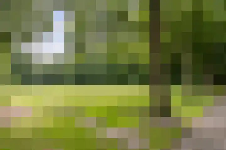 De Dommel 90 Goirle thumbnail 33