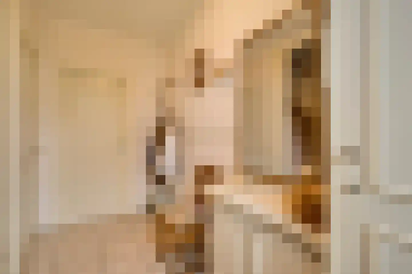 De Donckstraat 40 a Sevenum thumbnail 11