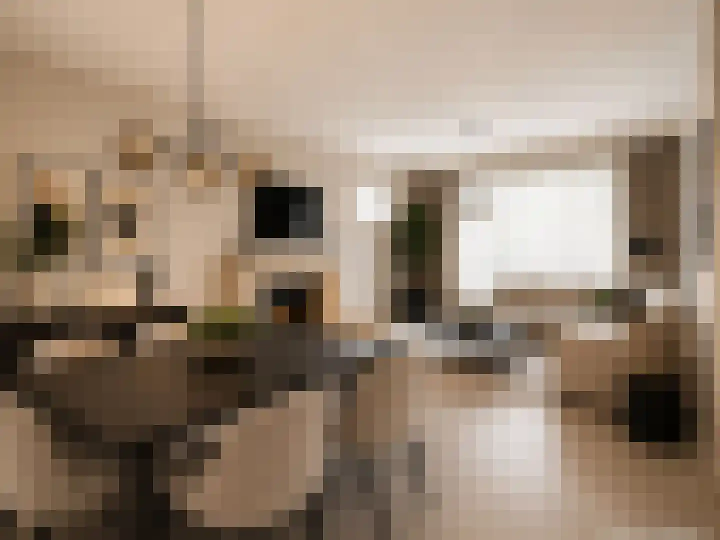 De Donckstraat 40 a Sevenum thumbnail 16