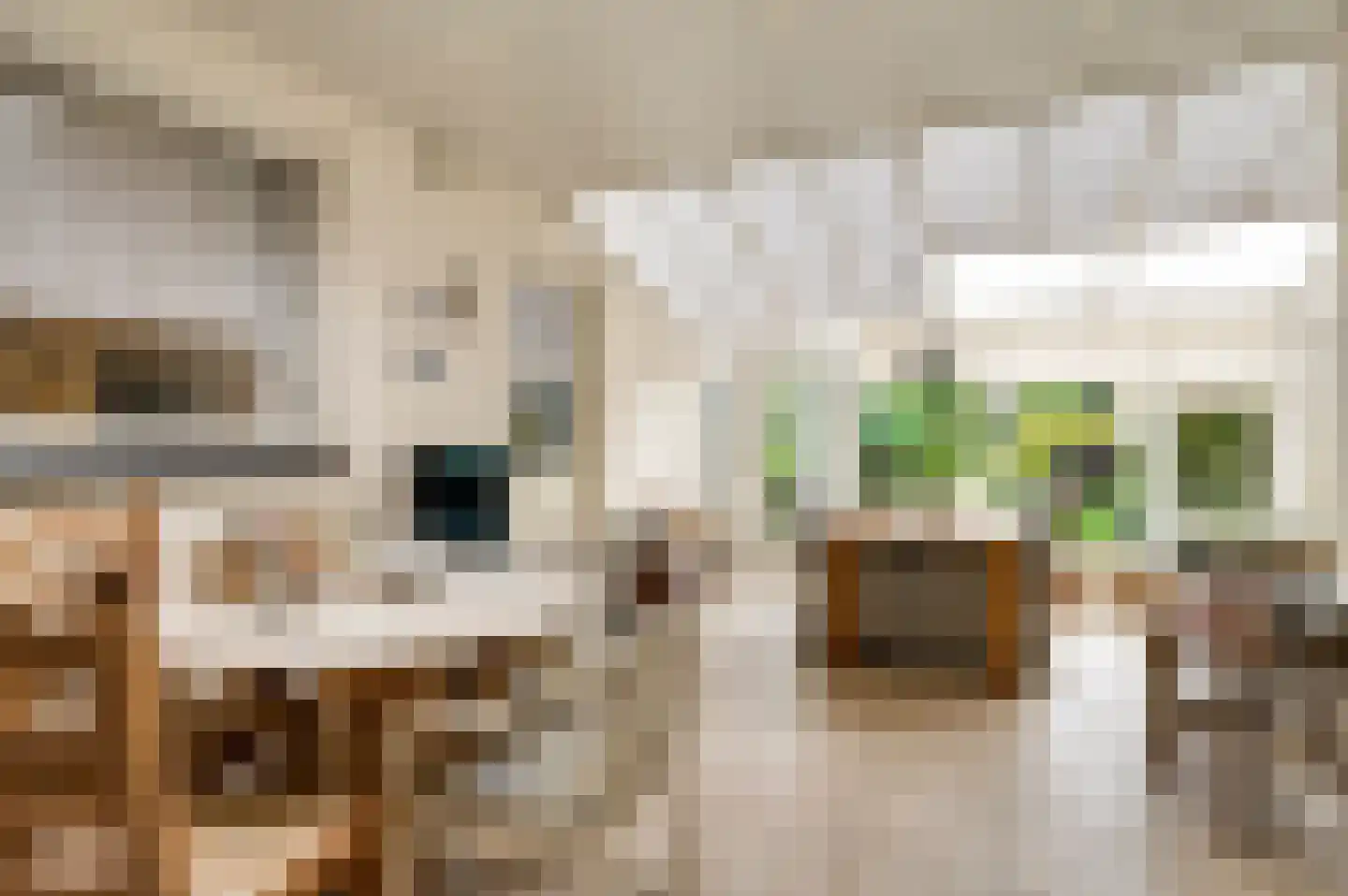 De Donckstraat 40 a Sevenum thumbnail 29