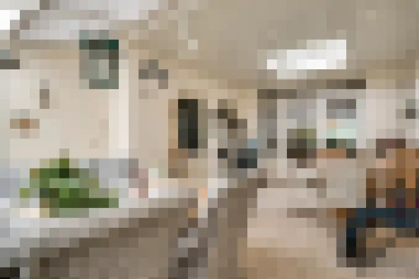 De Donckstraat 40 a Sevenum thumbnail 31