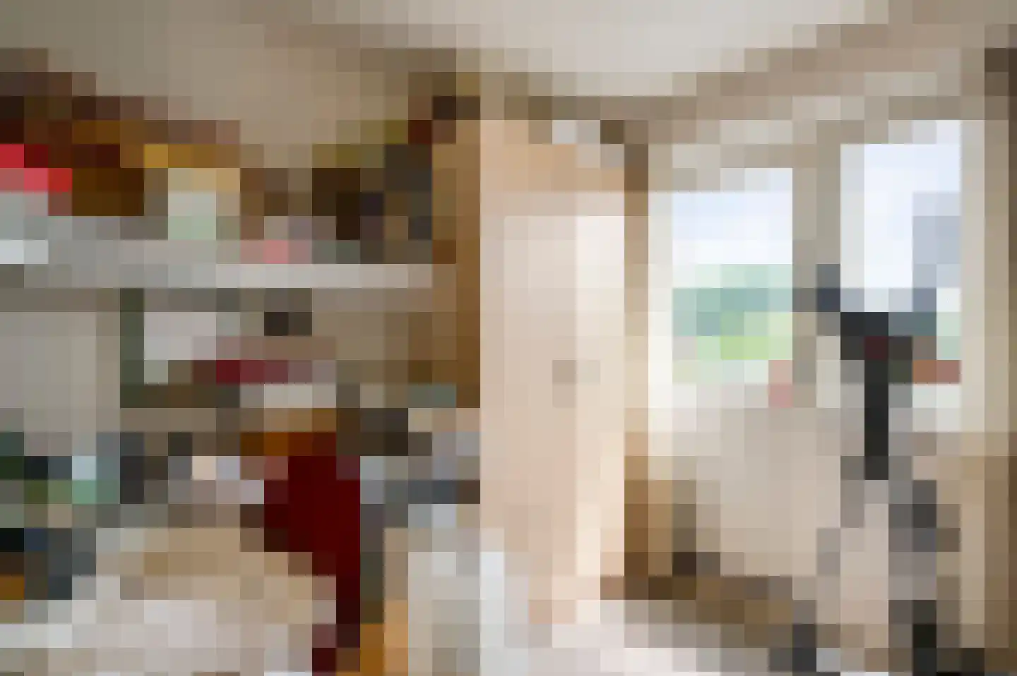De Donckstraat 40 a Sevenum thumbnail 38
