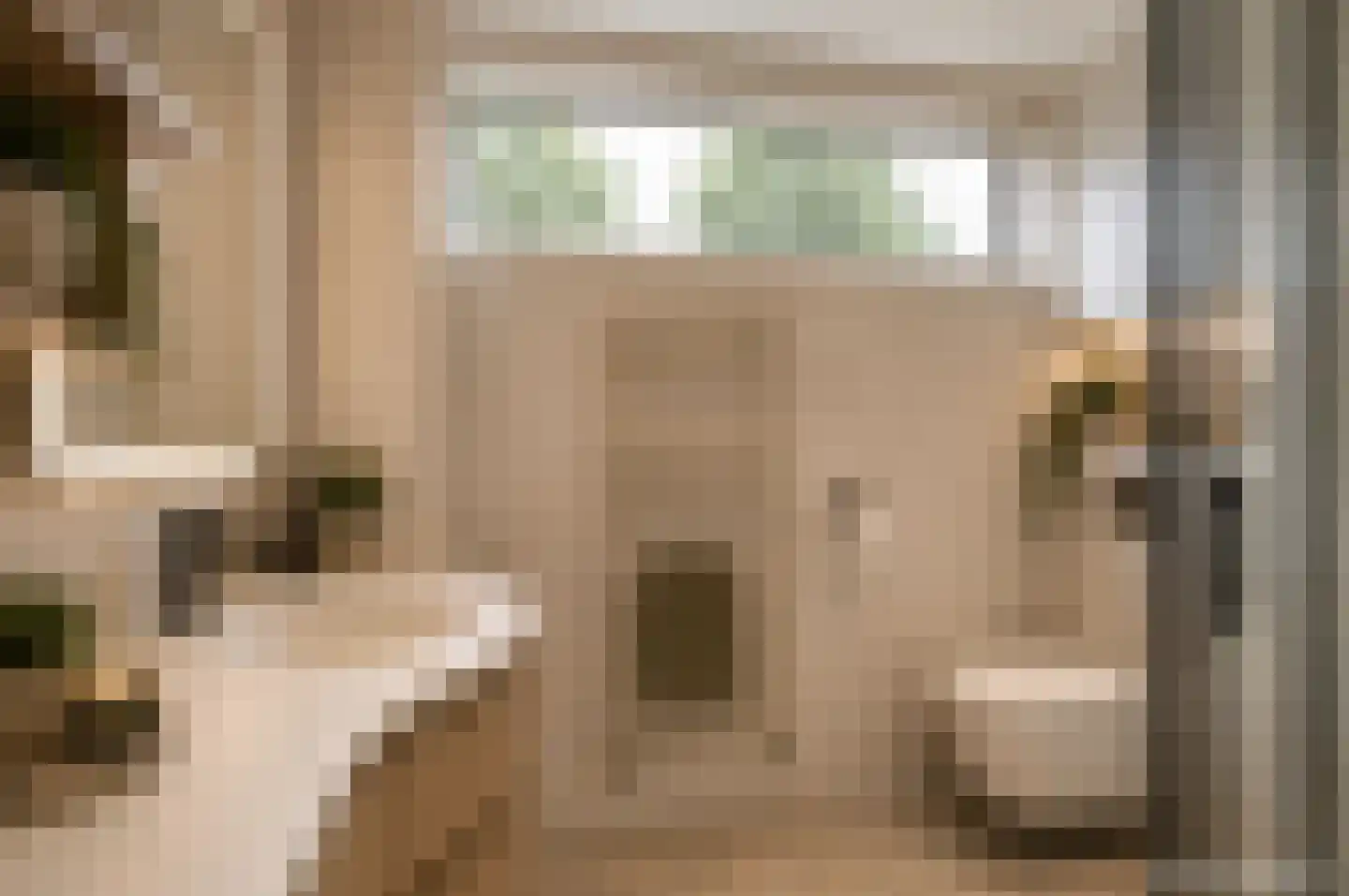 De Donckstraat 40 a Sevenum thumbnail 42