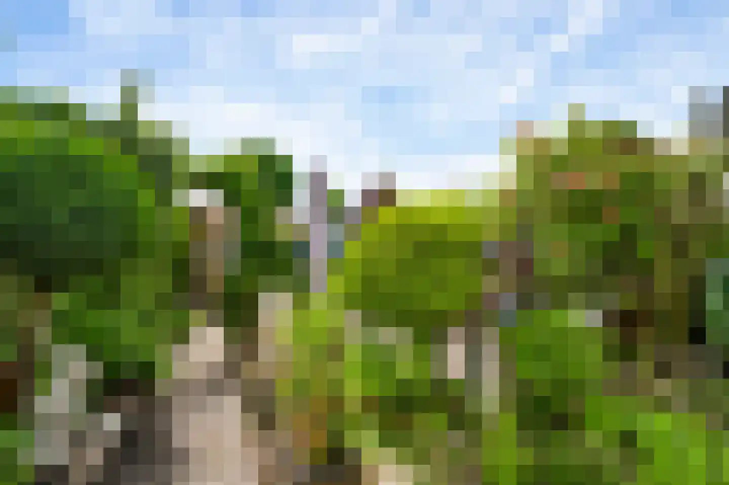 De Donckstraat 40 a Sevenum thumbnail 44