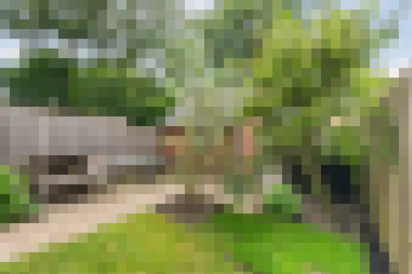 de Donge 7 Woerden thumbnail 18