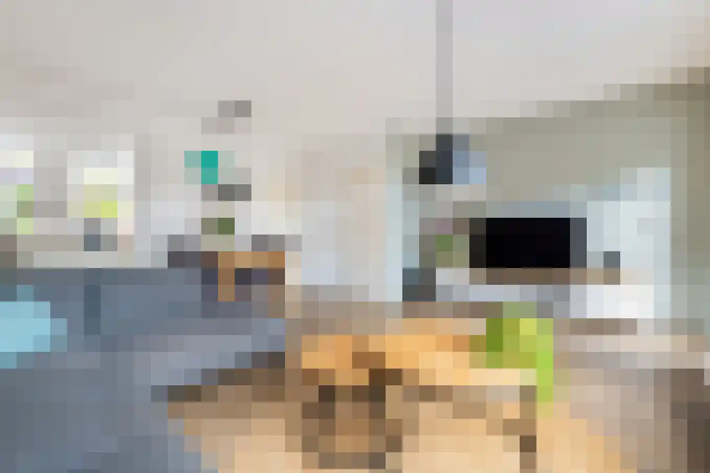 de Donge 7 Woerden thumbnail 8