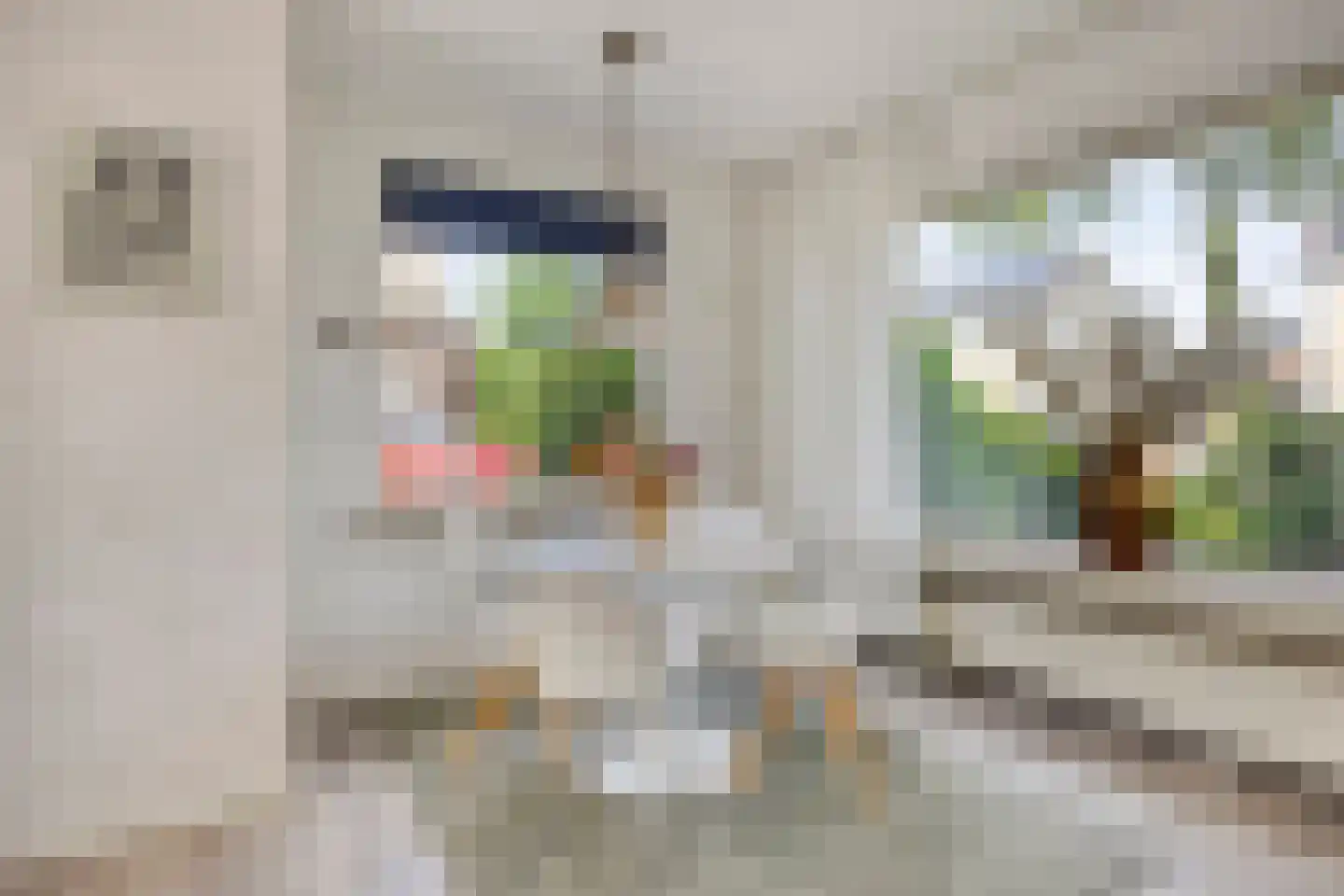 De Donk 10 Berlicum thumbnail 10