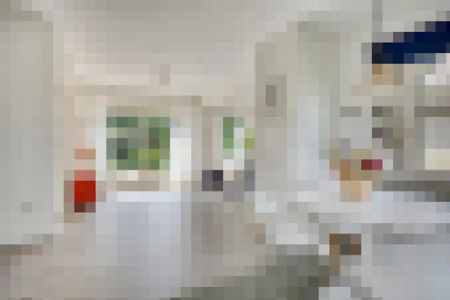 De Donk 10 Berlicum thumbnail 18