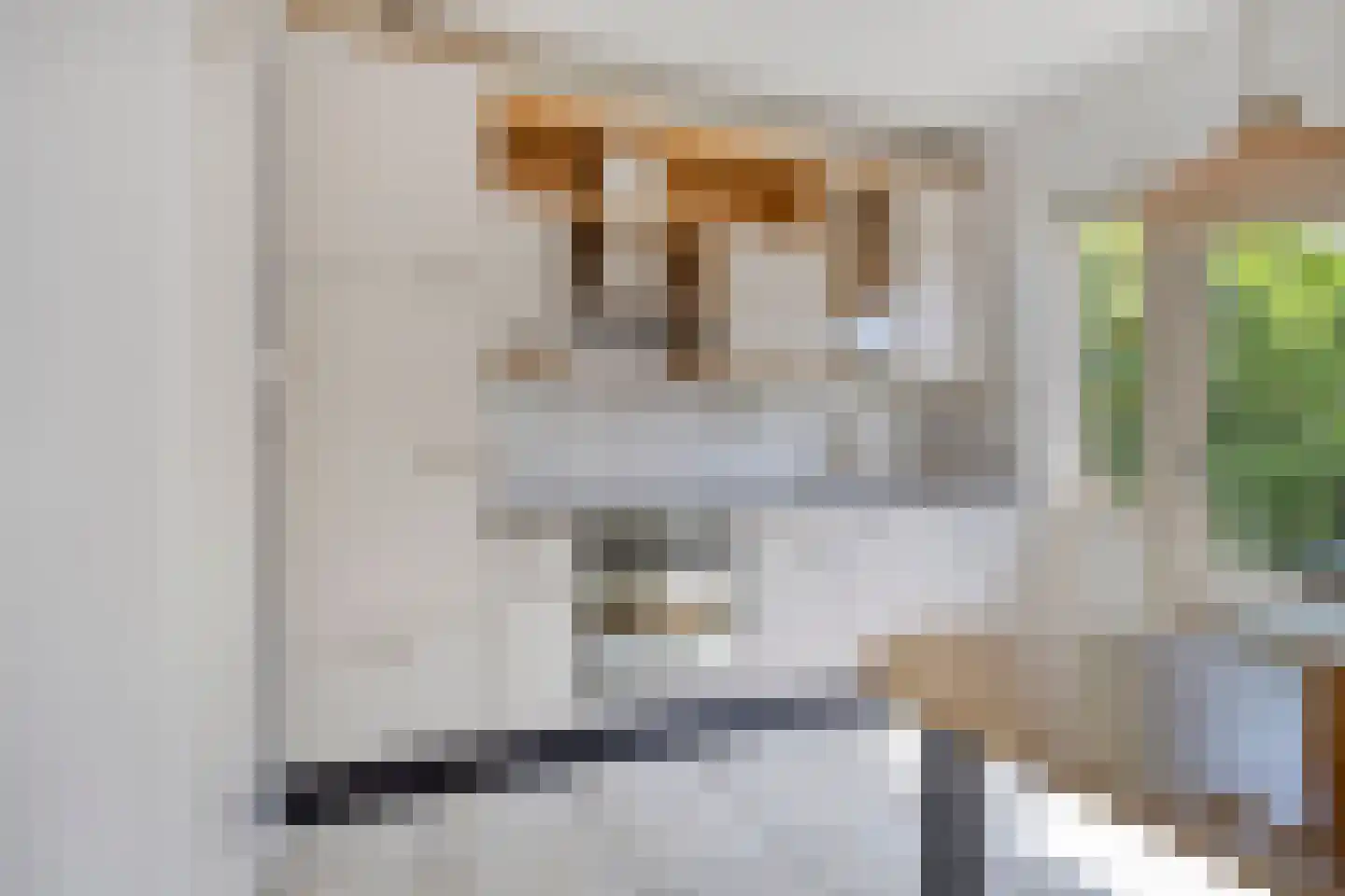 De Donk 10 Berlicum thumbnail 20