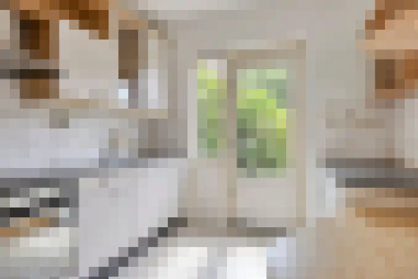 De Donk 10 Berlicum thumbnail 22