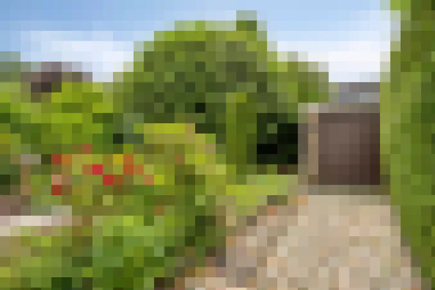 De Donk 10 Berlicum thumbnail 4