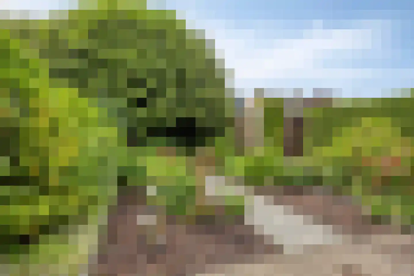 De Donk 10 Berlicum thumbnail 40