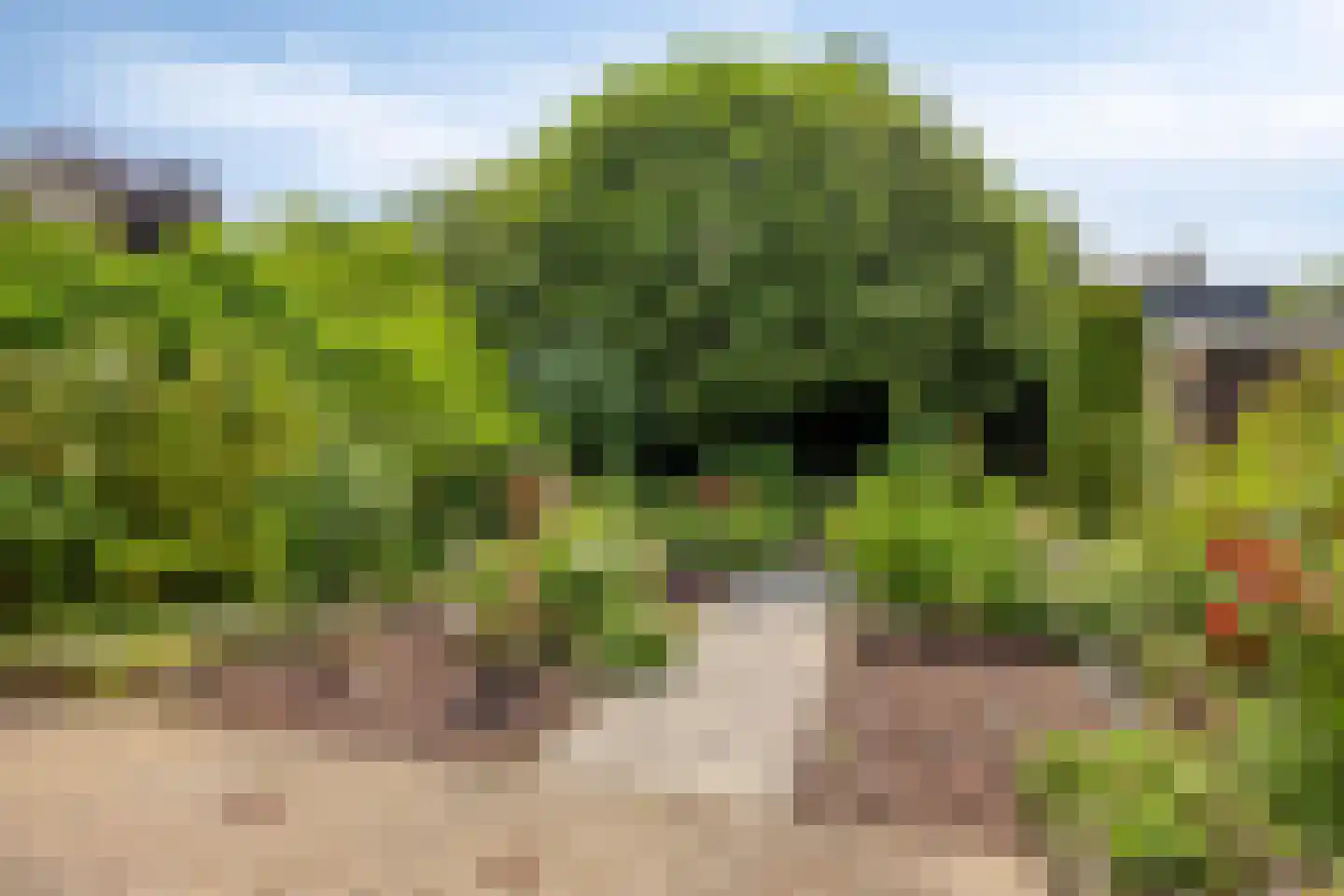 De Donk 10 Berlicum thumbnail 44