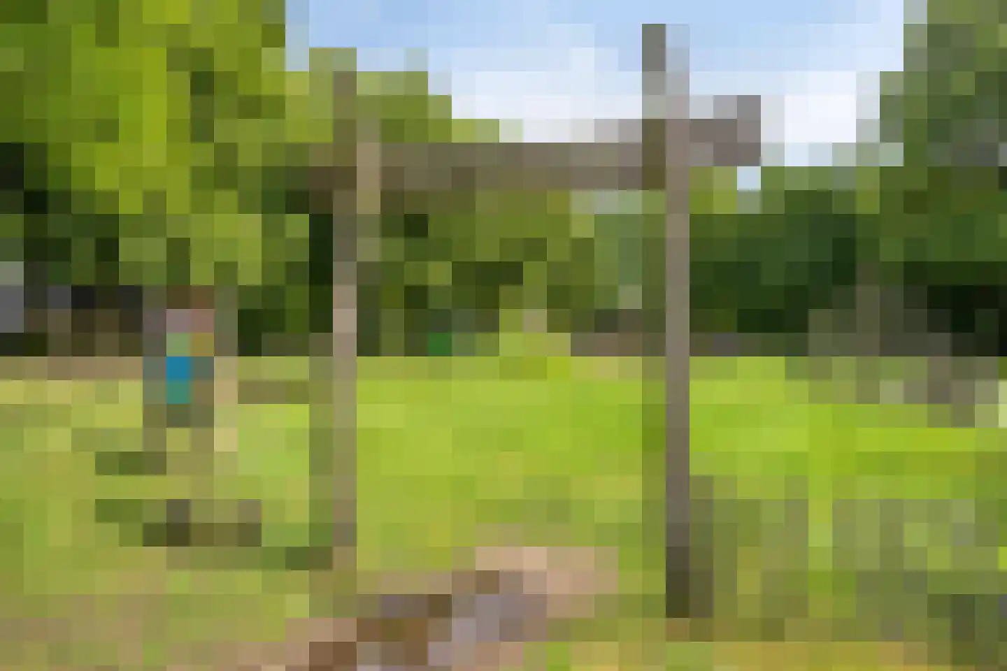De Donk 10 Berlicum thumbnail 49