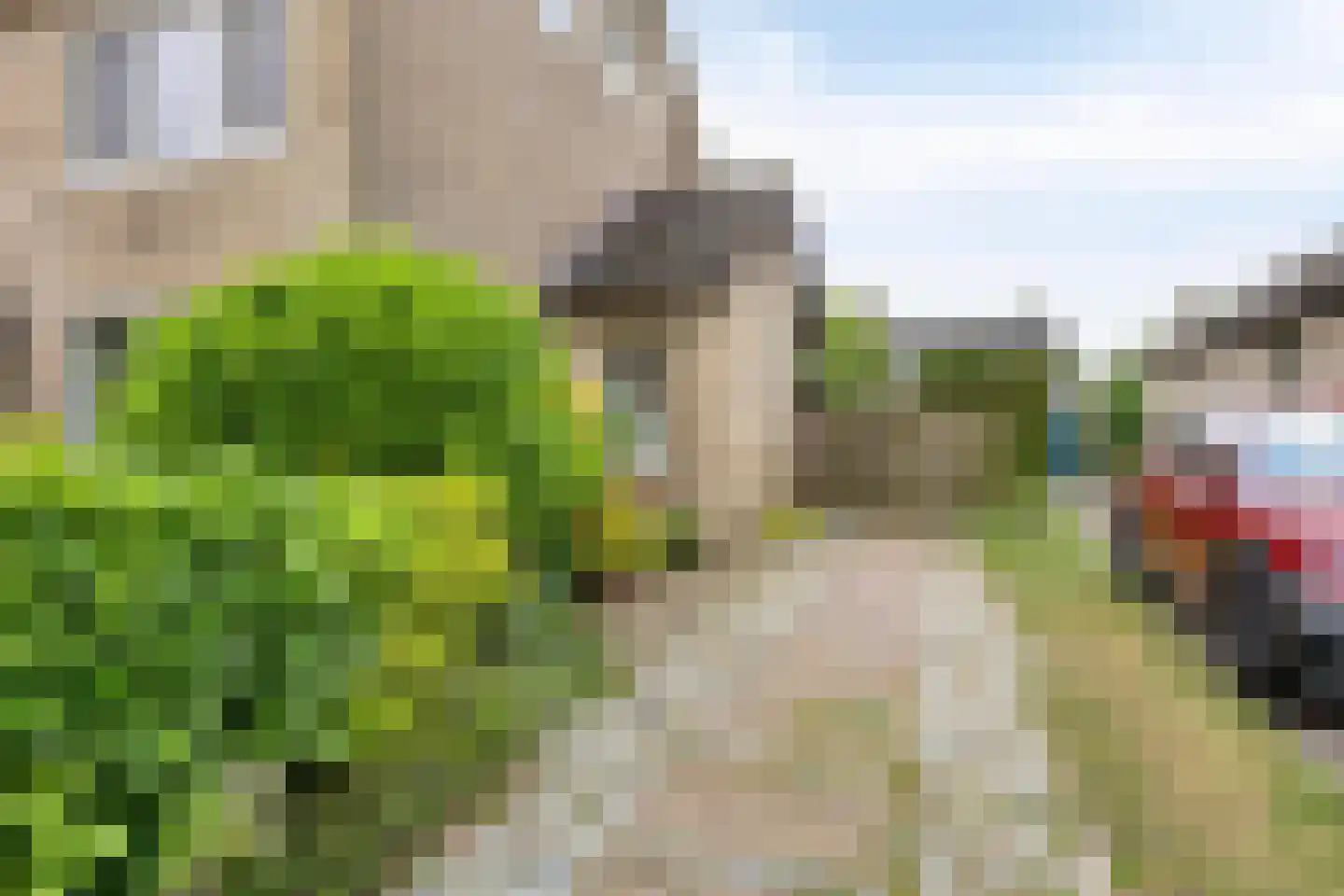 De Donk 10 Berlicum thumbnail 5