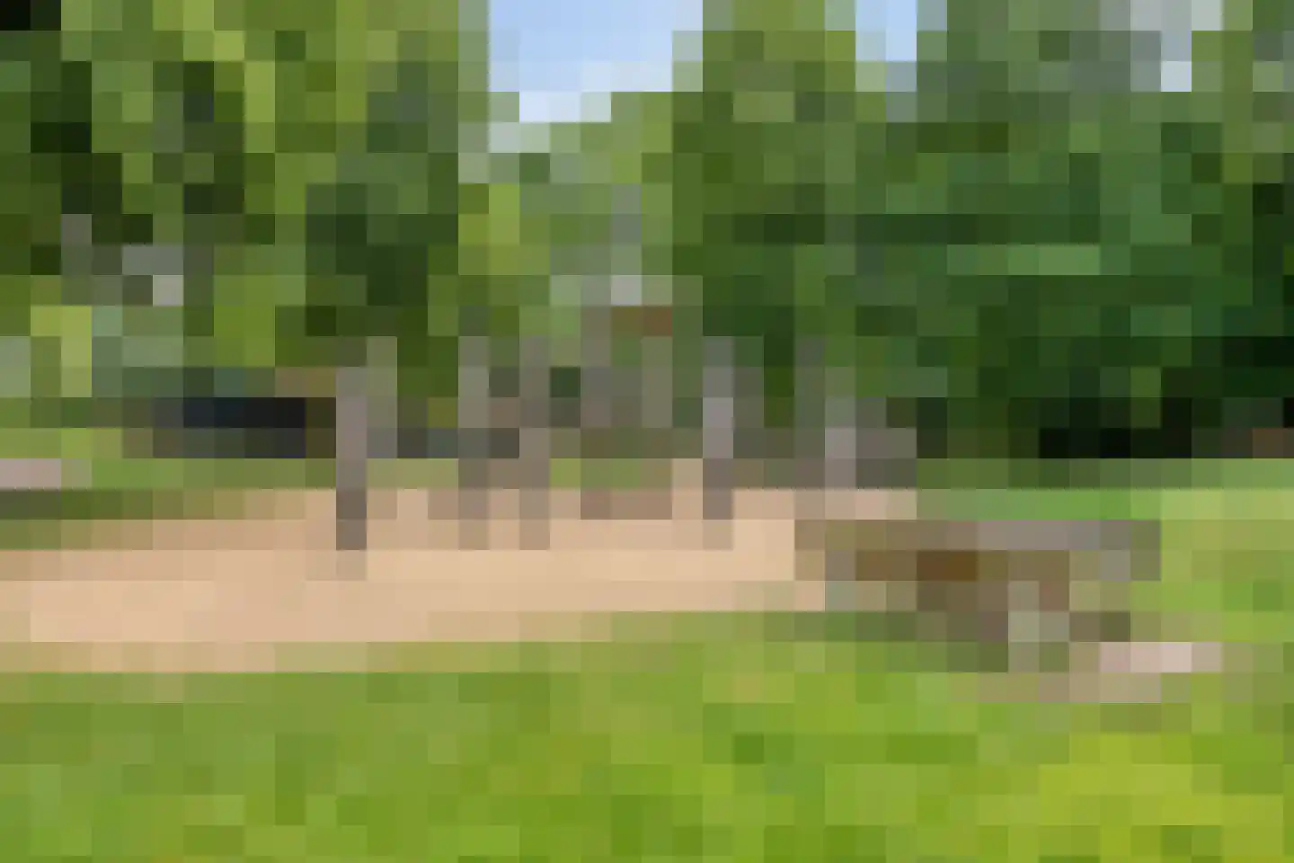 De Donk 10 Berlicum thumbnail 50