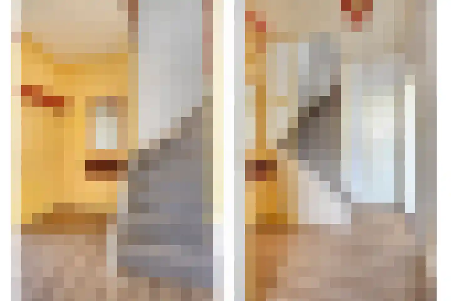 De Donk 10 Berlicum thumbnail 7