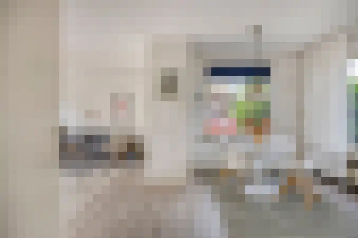 De Donk 10 Berlicum thumbnail 9