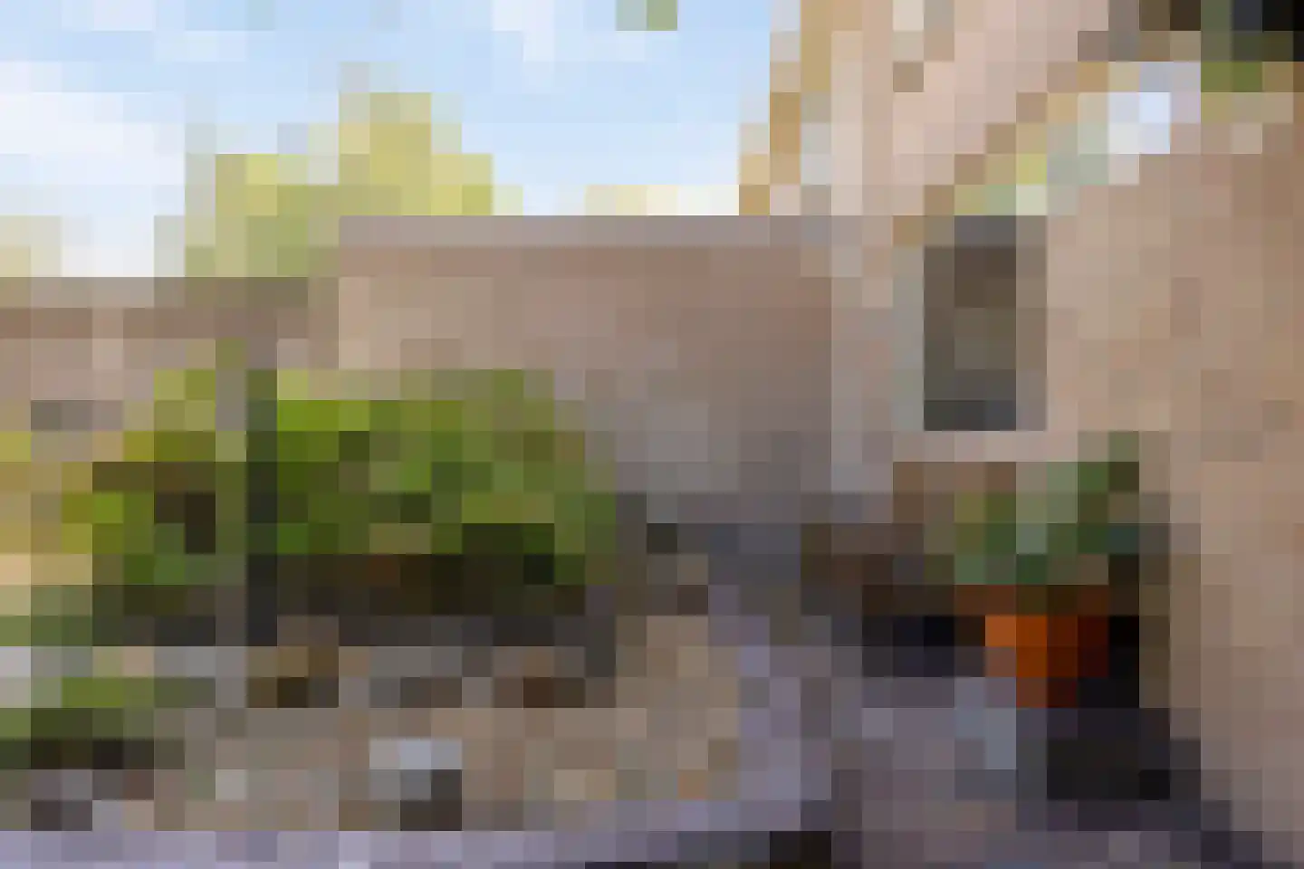 De Donk 17 Schaijk thumbnail 41