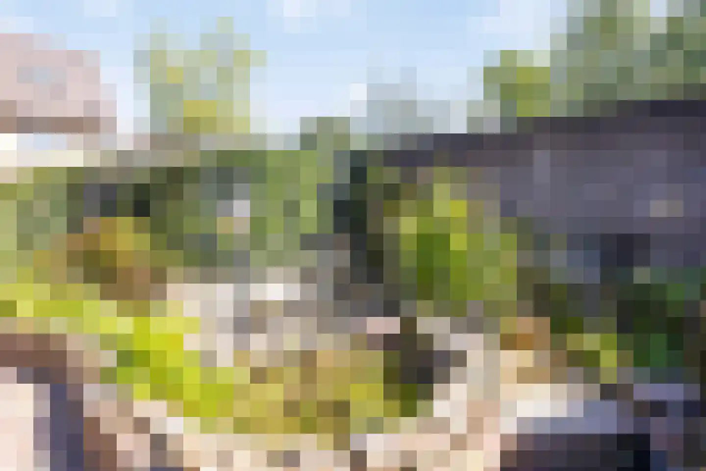 De Donk 17 Schaijk thumbnail 43
