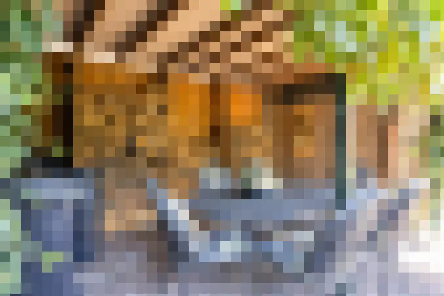 De Donk 17 Schaijk thumbnail 44
