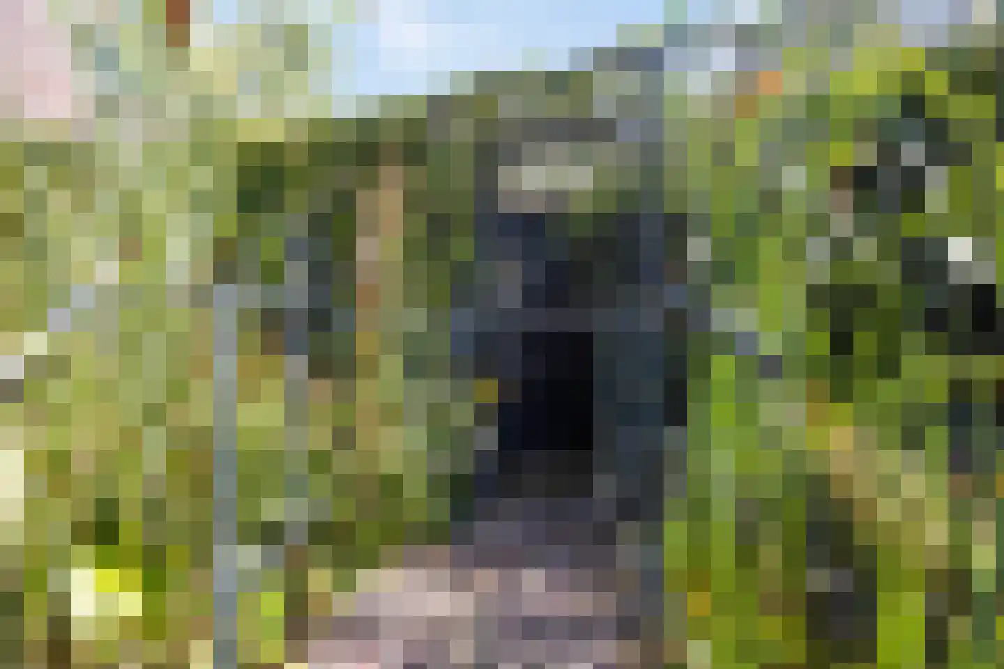 De Donk 17 Schaijk thumbnail 46