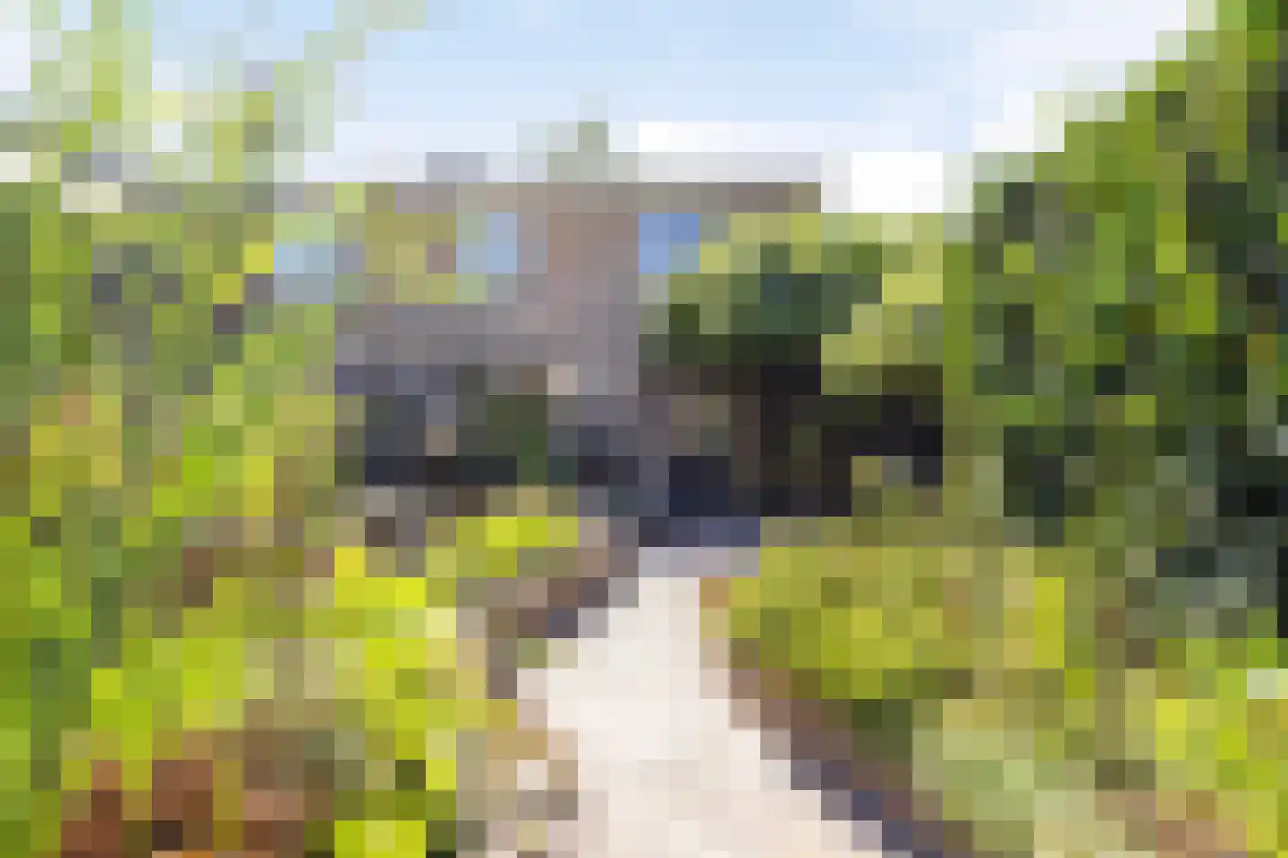 De Donk 17 Schaijk thumbnail 47