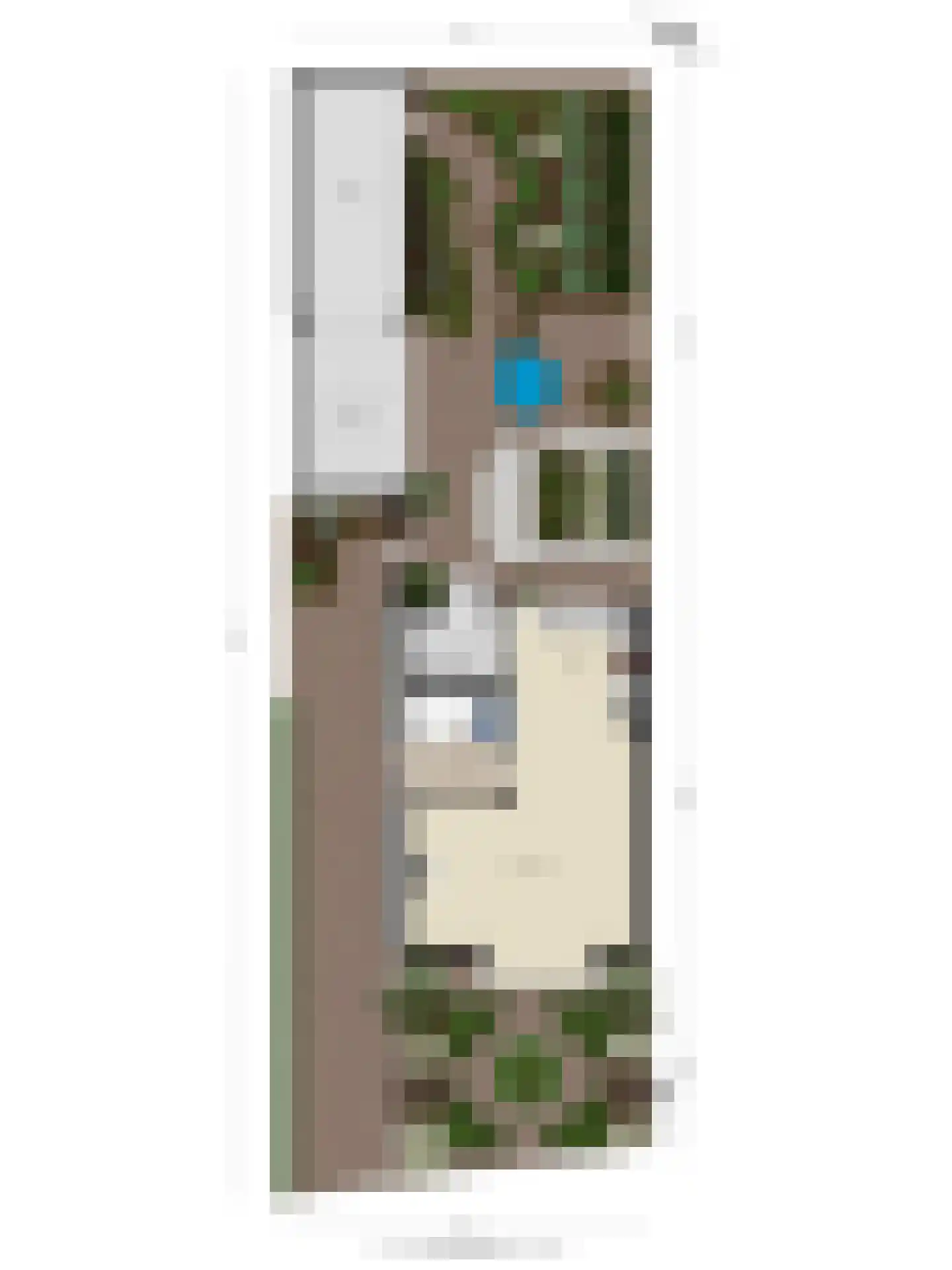 De Donk 17 Schaijk thumbnail 51