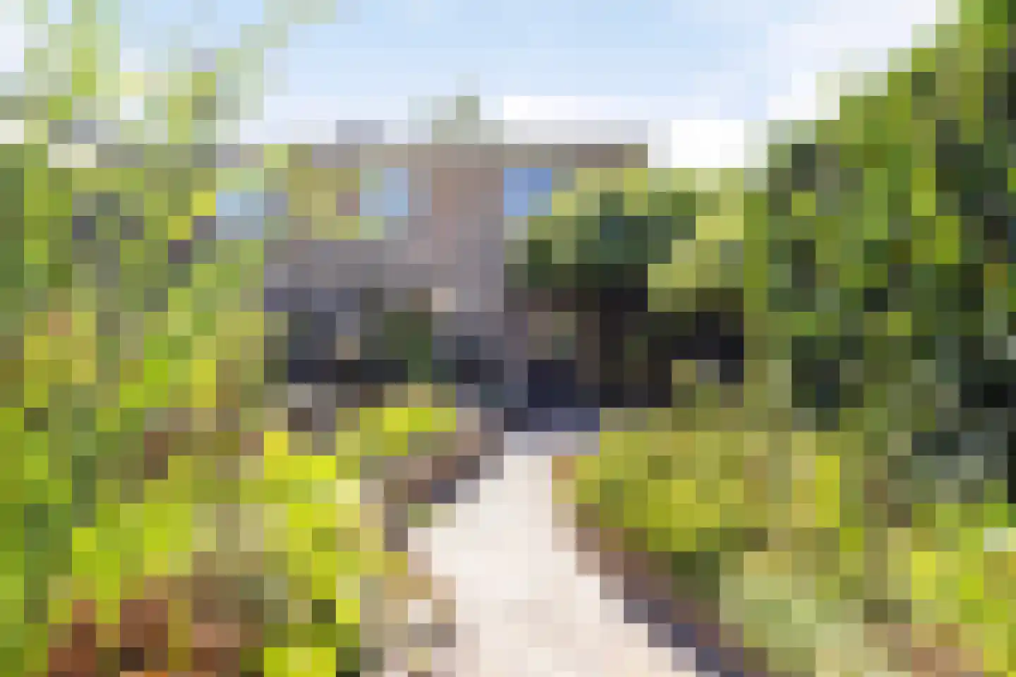 De Donk 17 Schaijk thumbnail 8