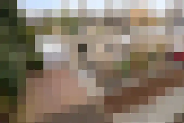 De Donk 20 Schaijk thumbnail 14