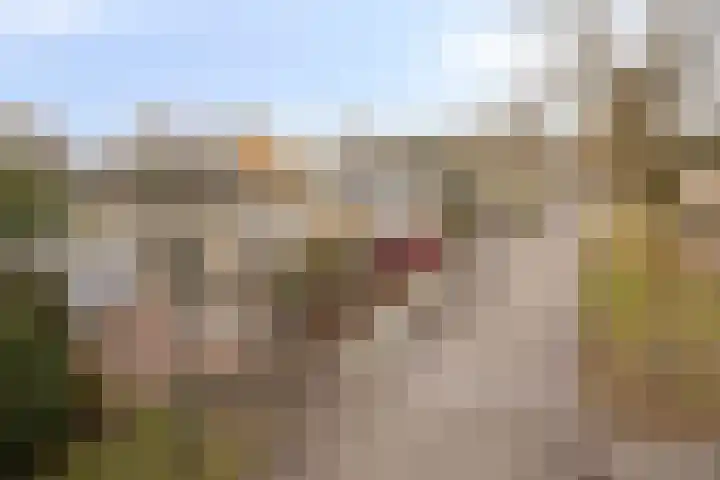 De Donk 20 Schaijk thumbnail 16