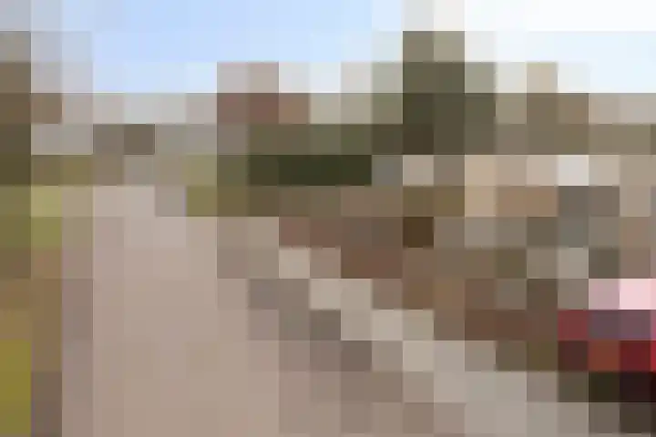 De Donk 20 Schaijk foto 2