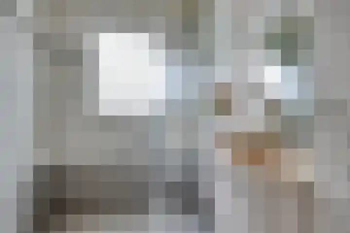 De Donk 20 Schaijk thumbnail 36
