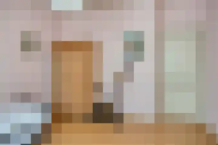 De Donk 20 Schaijk thumbnail 40