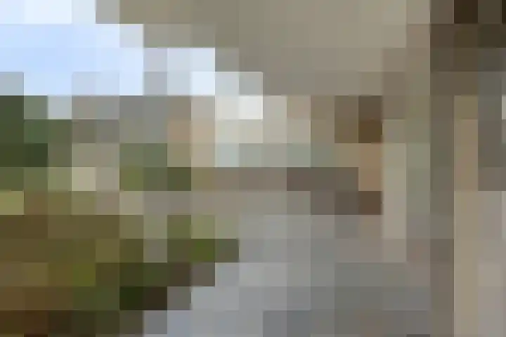 De Donk 20 Schaijk thumbnail 43