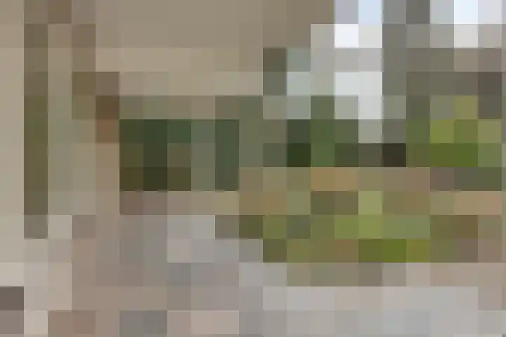 De Donk 20 Schaijk thumbnail 44