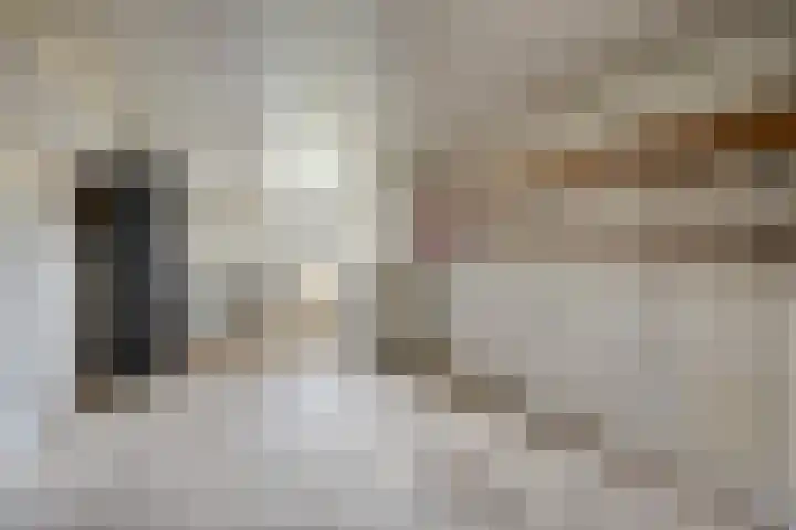 De Donk 20 Schaijk thumbnail 46