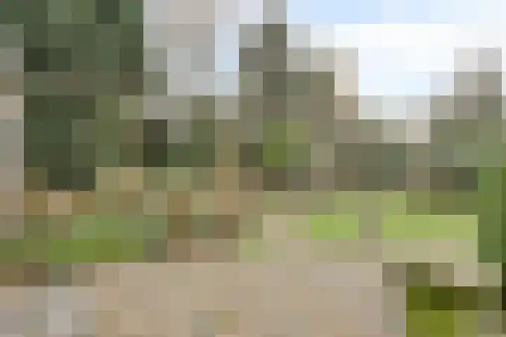 De Donk 20 Schaijk thumbnail 48