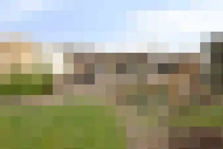 De Donk 20 Schaijk thumbnail 49