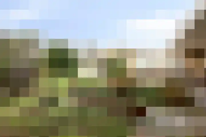 De Donk 20 Schaijk thumbnail 50