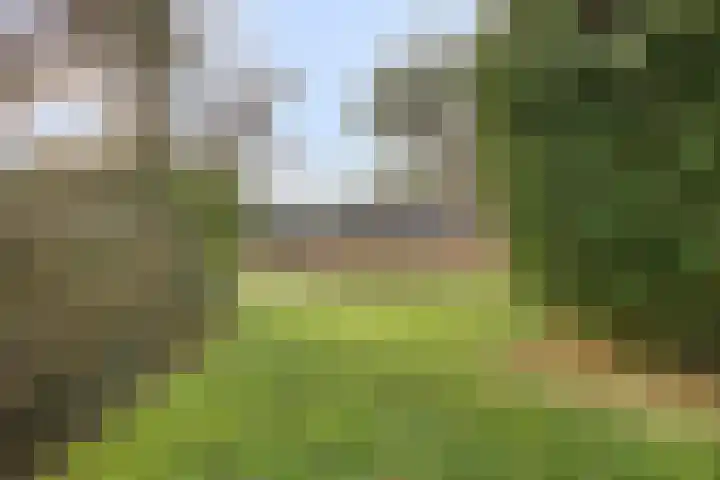 De Donk 20 Schaijk thumbnail 52