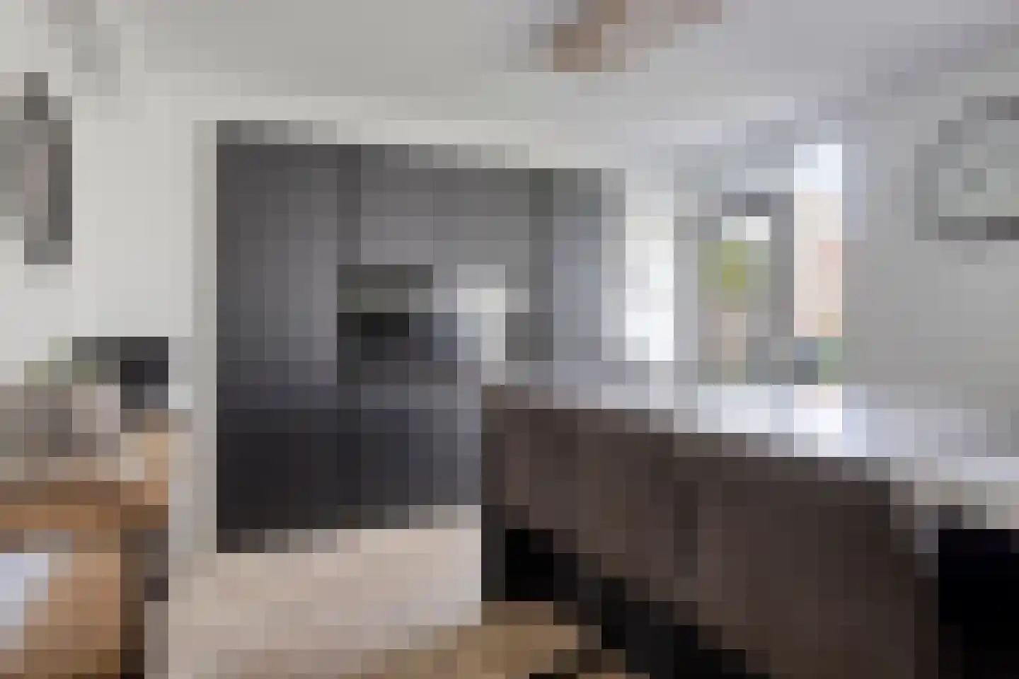 de Donk 8 Oirschot thumbnail 17